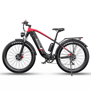 Best Electric Bike DUOTTS F26