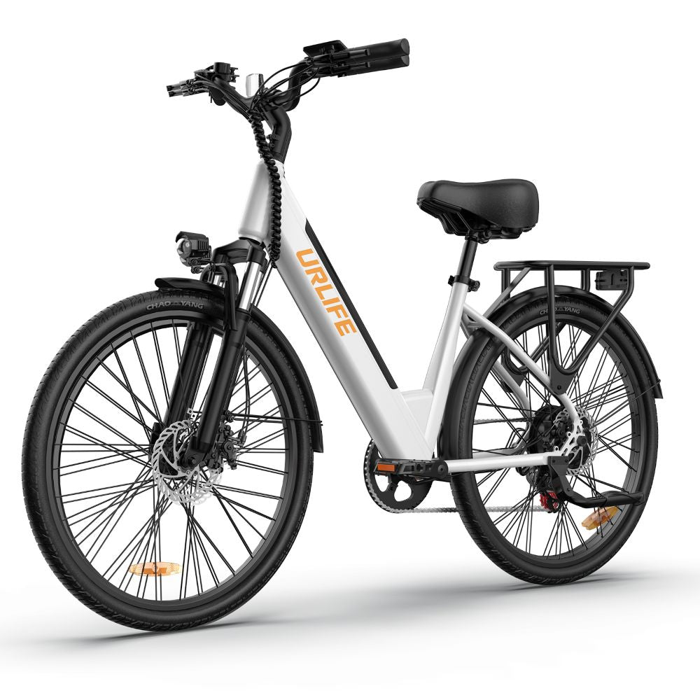 Cheap Electric Bike URLIFE E26 250W Motor 36V 13Ah