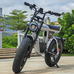 60V ebikes, Coswheel CT20S