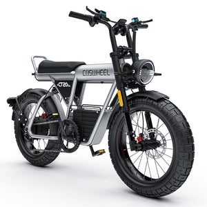 60V ebike, Coswheel CT20S
