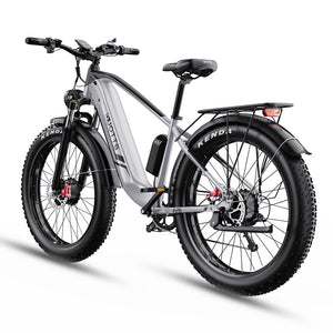 DUOTTS F26 Fastest Electric Bike 48V 1500W