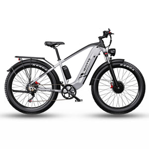 DUOTTS F26 Fat Tire Electric Bike