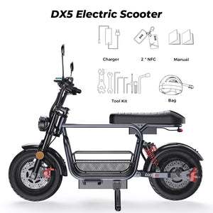 DX5 Electric Scooter