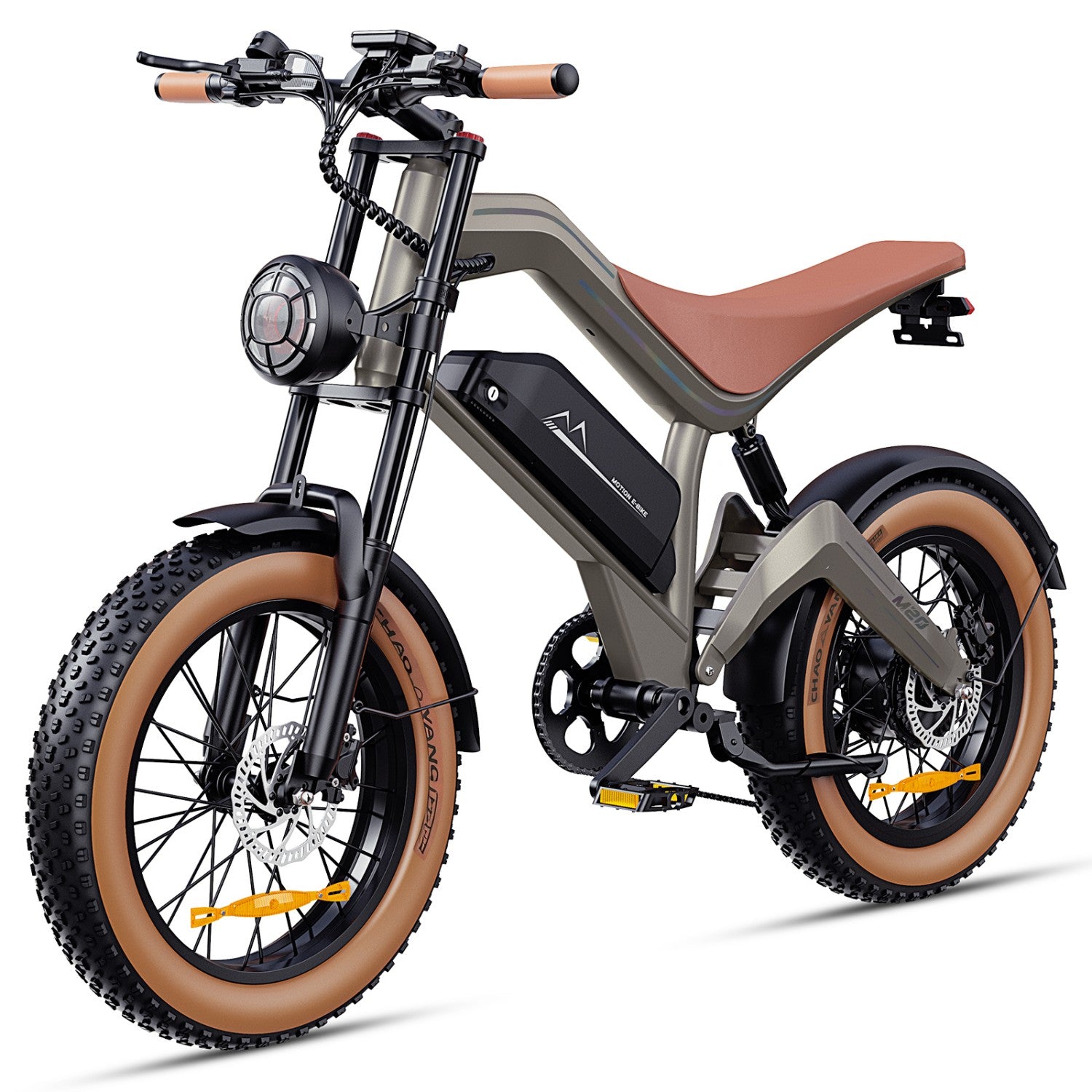 Electeic Bike DYU M20