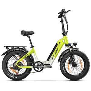 ttgo step-thru Electric Bike