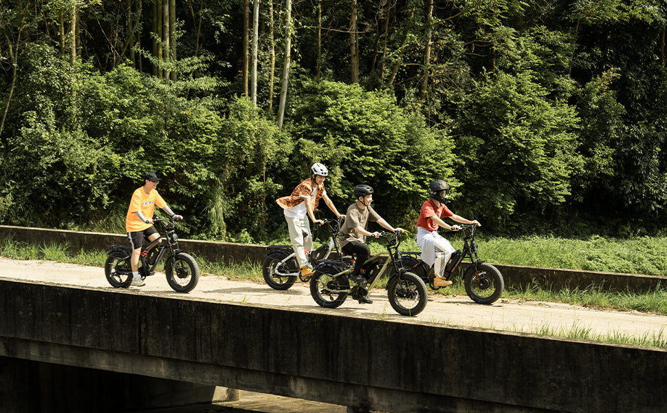 fat bike electric bike for adult eahora