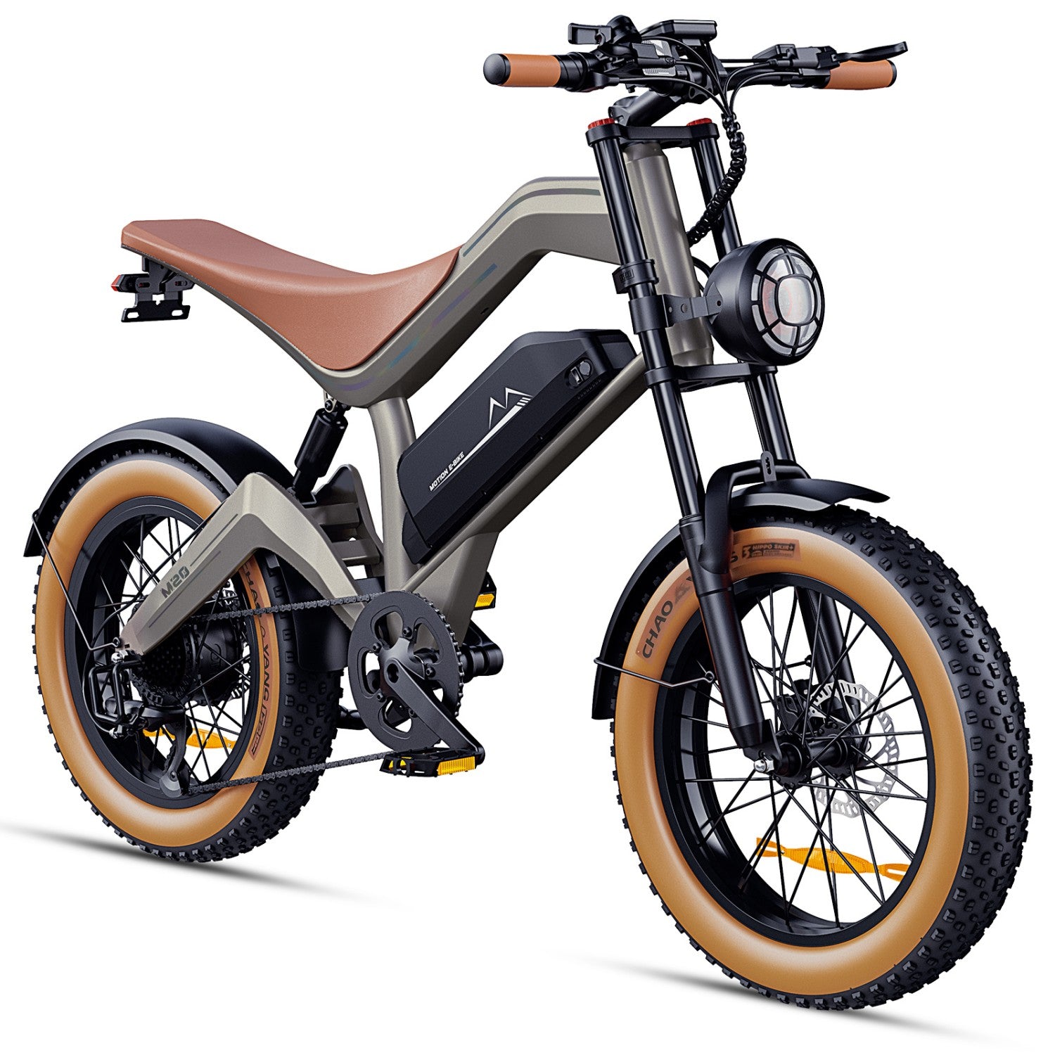 Electeic Bike DYU M20