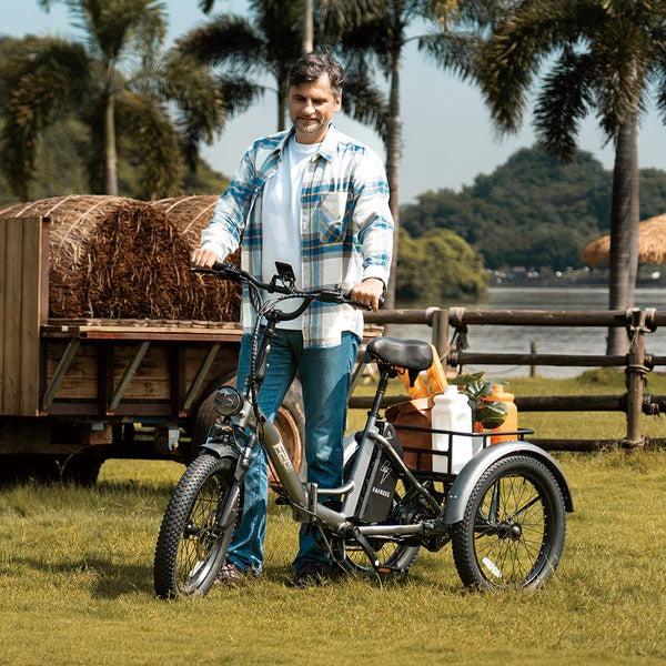 Electric Tricycles fafrees f20 mate L2E P