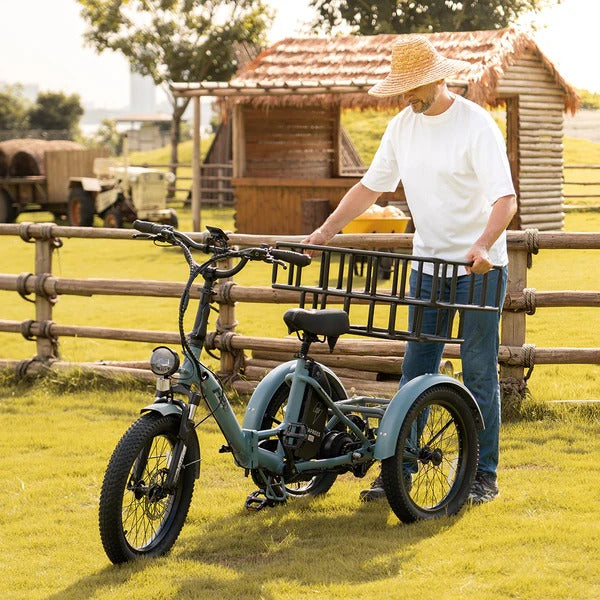 Electric Tricycles fafrees f20 mate