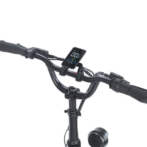 Fafrees F20Mate cargo electric tricycle display