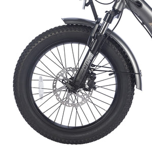 Fafrees F20Mate cargo electric tricycle fat tire