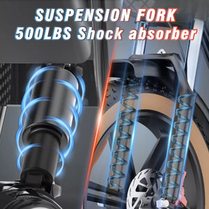 Moped-Style electric bike, ridstar e bike, ridstar q20 luxe