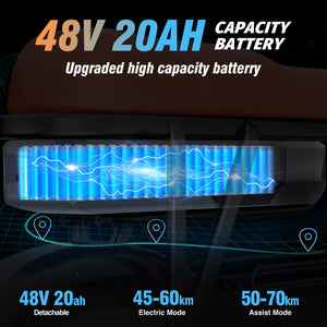 ridstar electric bike