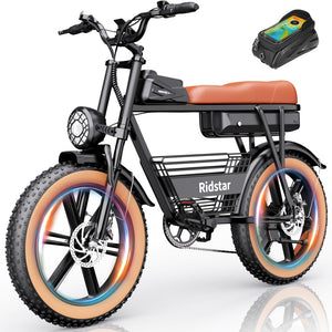 ridstar e bike