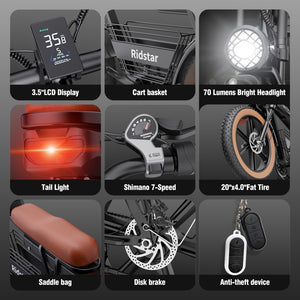 electric bike ridstar