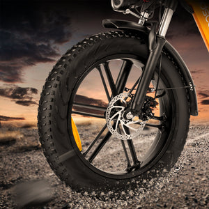 ridstar, ridstar mn20, ridstar electric bikes