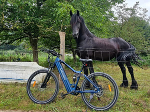 Samebike Electric Bike XD26-II Hybrid E-Bike on the grass