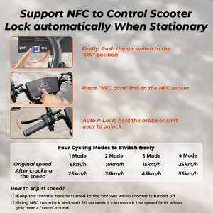 Small Electric Scooter