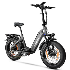 36V250W Electric Bike grey