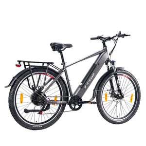 TTGO Adult Mountain Electric Bike Gray 48V250W M310