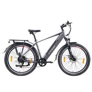 TTGO M310 Electric Bike Gray 48V250W