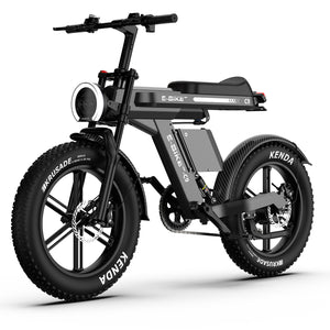 c9 dual batteries electric bike main