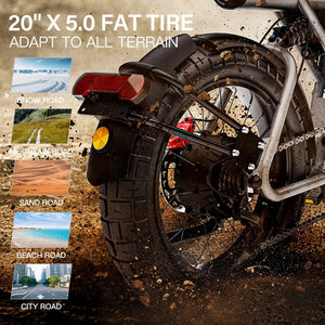 coswheel-ct20s-powerful-electric-bike-fat-bike