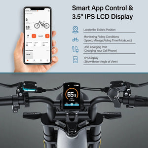 20inch fat tire electric bikes,Coswheel CT20s