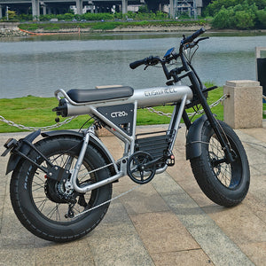 coswheel ct20s, coswheel electric bike