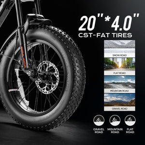 eAhora Luna fat tire Electric Bike 20inch