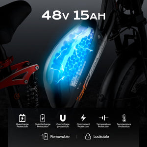eAhora Luna Electric Bike 48v15ah