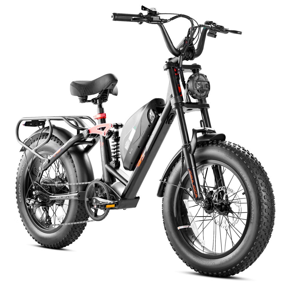 eAhora Luna Electric Bike adult Black