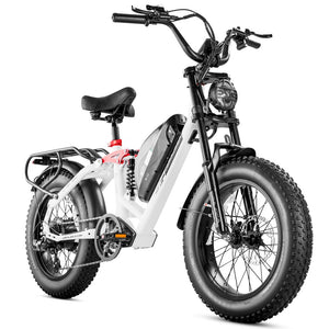 eAhora Luna Electric Bike white