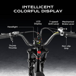 colorful display of fat tire ebike