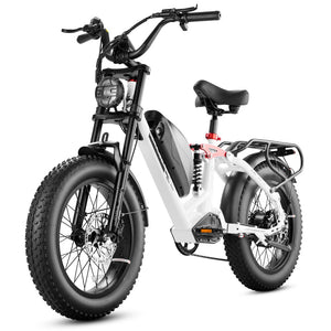 eAhora electric bike fat tire