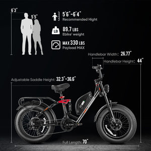 eAhora Luna fat tire Electric Bike