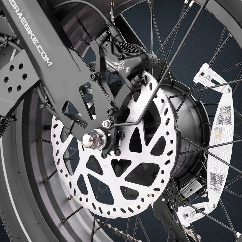 20inch electric mountain bike eAhora RomeoII