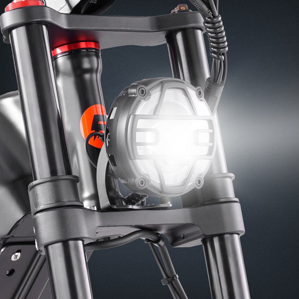 adult electric bike, eAhora bike Romeo