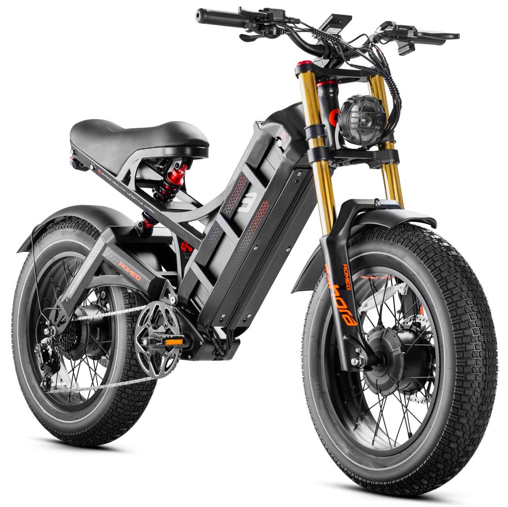 eAhora Romeo II Dual Motor Electric Bike 2500W 52V 60Ah