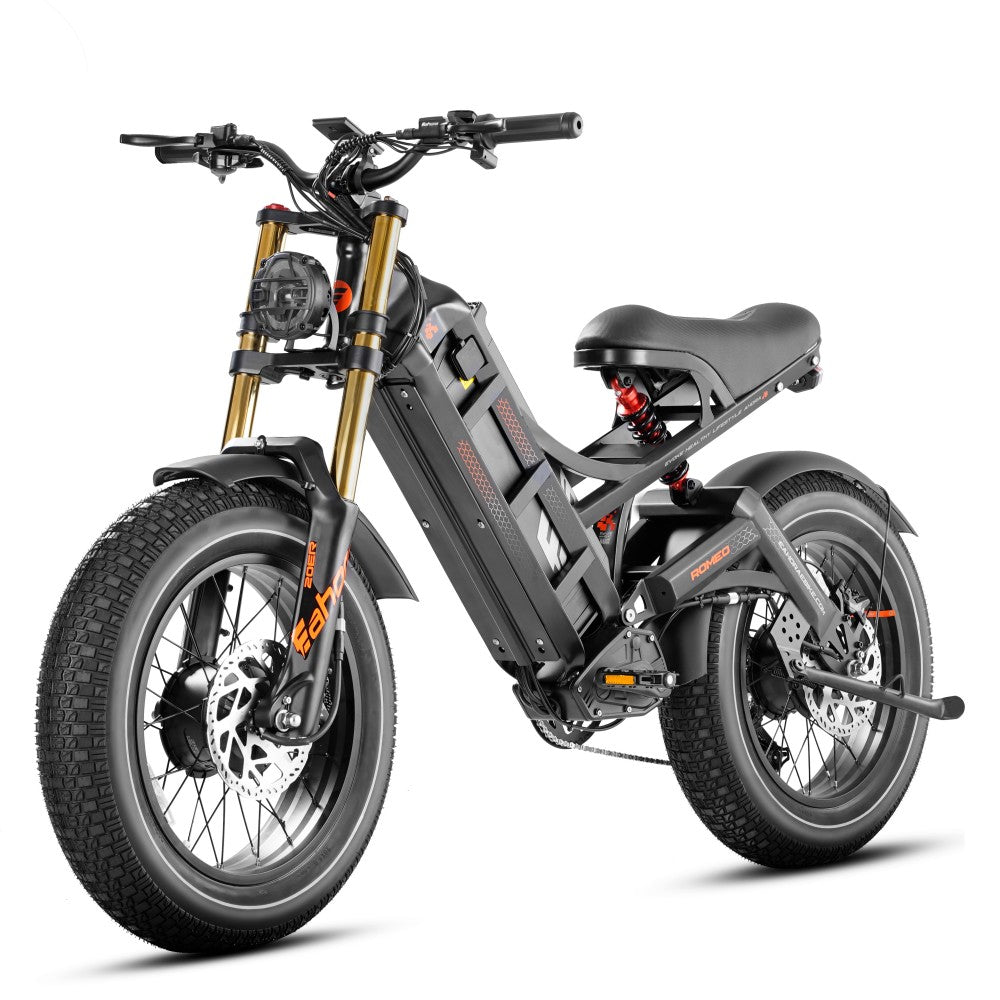 eAhora Romeo II Dual Motor Electric Bike 2500W 52V 60Ah
