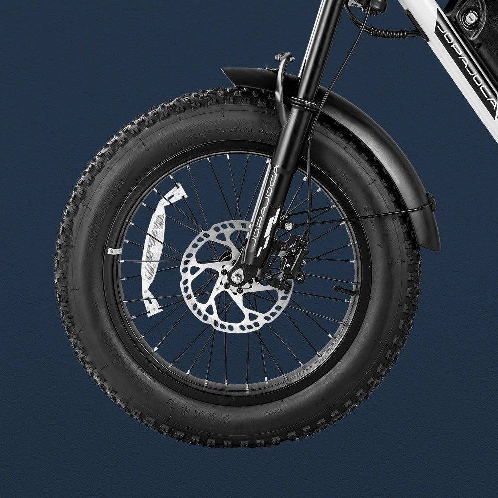 ebike fat bike eahora luna