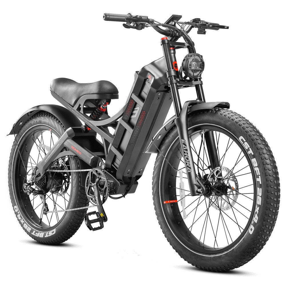 eAhora Romeo PRO Elektrofahrrad 48V1200W 60AH 26-Zoll-Reifen