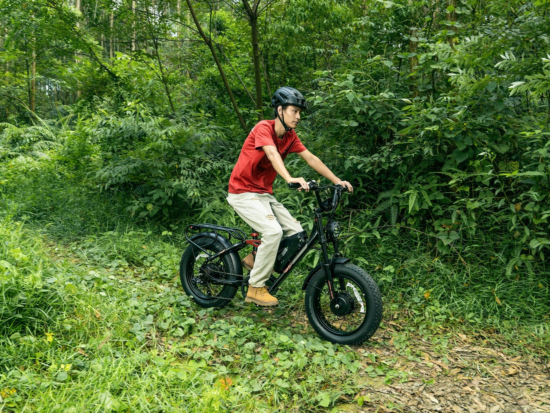 electric bike fat bike eahora luna