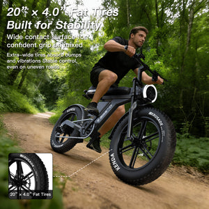 fat tire electric bike C9