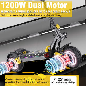 iE ES60 elektrische scooter dubbele motor 2400W