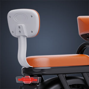 ridstar electric bike