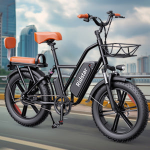 ridstar mf001 Electric Bike full suspension