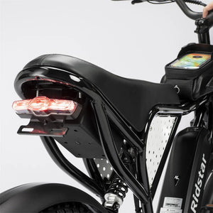 ridstar e bike, ridstar q20 lite