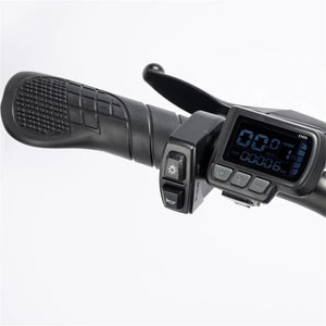 ridstar ebike, ridstar q20