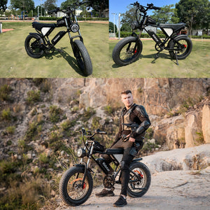 ridstar electric bike, ridstar q20